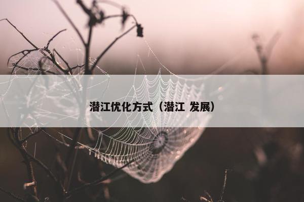 潜江优化方式（潜江 发展）