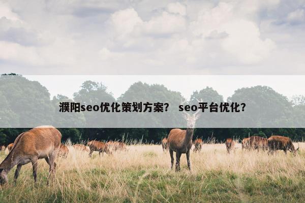濮阳seo优化策划方案？ seo平台优化？