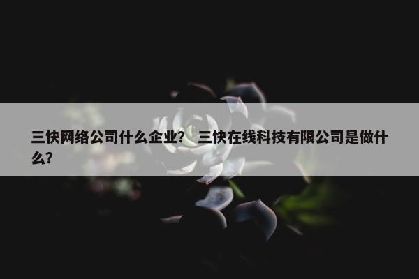 三快网络公司什么企业？ 三快在线科技有限公司是做什么？