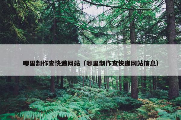哪里制作查快递网站（哪里制作查快递网站信息）