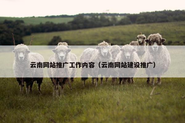 云南网站推广工作内容（云南网站建设推广）