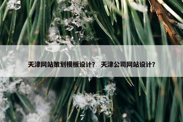 天津网站策划模板设计？ 天津公司网站设计？