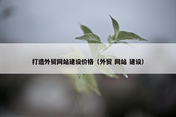 打造外贸网站建设价格（外贸 网站 建设）