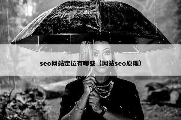 seo网站定位有哪些（网站seo原理）