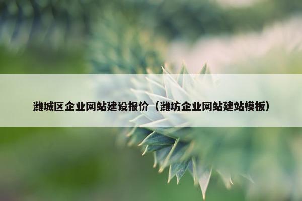 潍城区企业网站建设报价（潍坊企业网站建站模板）