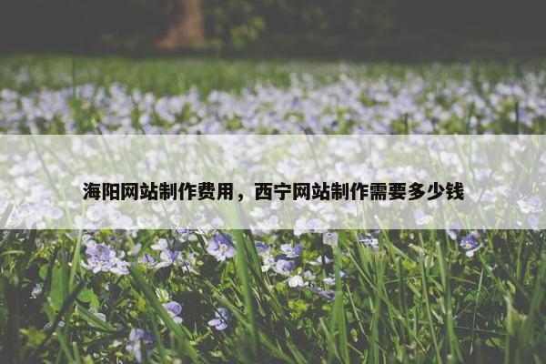 海阳网站制作费用，西宁网站制作需要多少钱