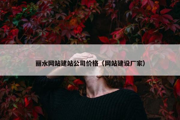 丽水网站建站公司价格（网站建设厂家）