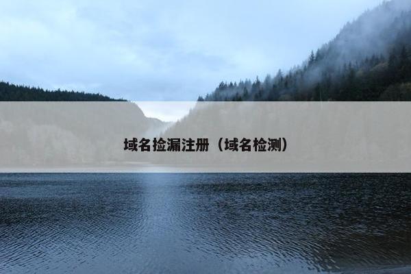 域名捡漏注册（域名检测）