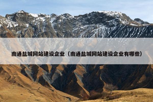 南通盐城网站建设企业（南通盐城网站建设企业有哪些）
