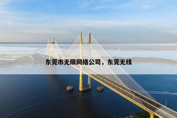 东莞市无限网络公司，东莞无线