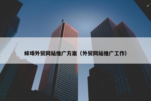 蚌埠外贸网站推广方案（外贸网站推广工作）