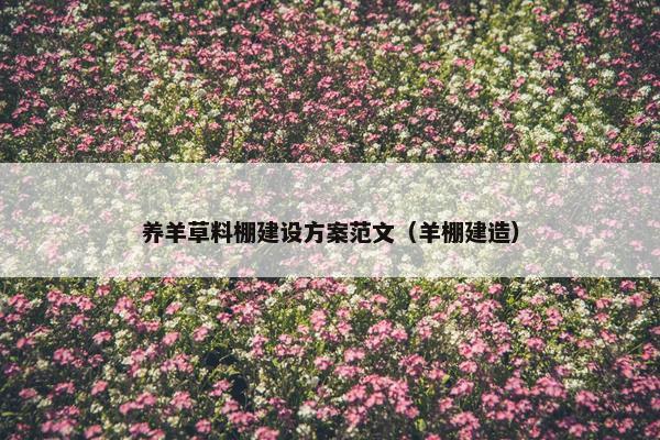 养羊草料棚建设方案范文（羊棚建造）