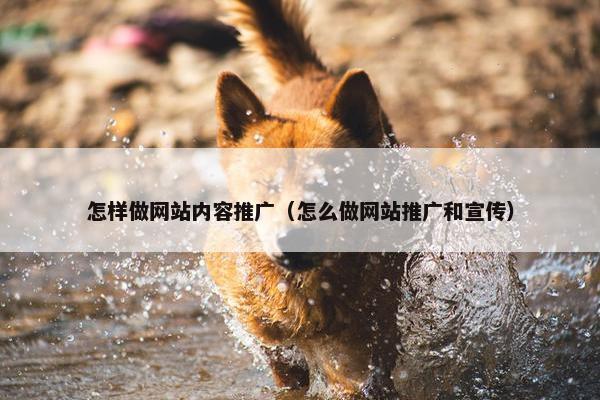 怎样做网站内容推广（怎么做网站推广和宣传）