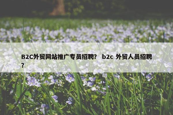 B2C外贸网站推广专员招聘？ b2c 外贸人员招聘？