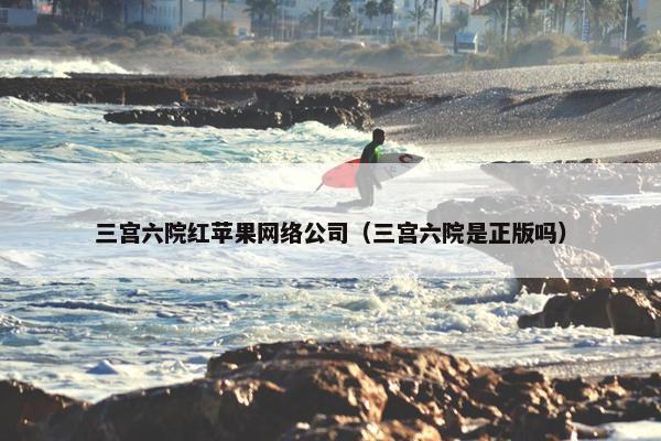 三宫六院红苹果网络公司（三宫六院是正版吗）