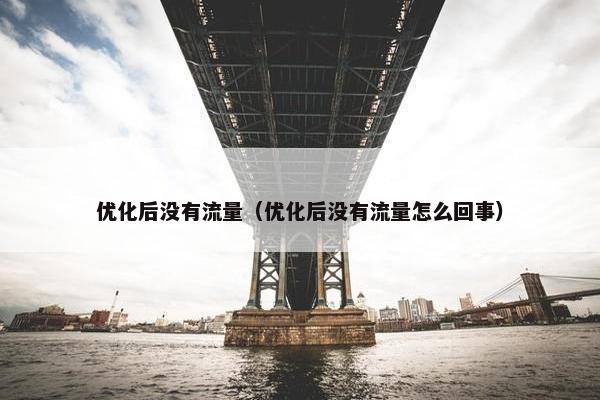 优化后没有流量（优化后没有流量怎么回事）
