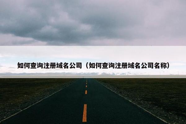 如何查询注册域名公司（如何查询注册域名公司名称）