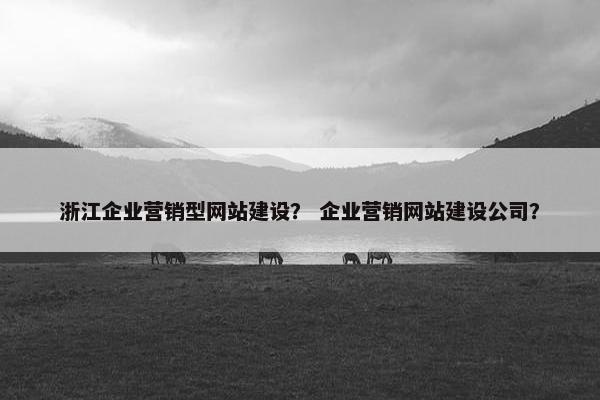 浙江企业营销型网站建设？ 企业营销网站建设公司？