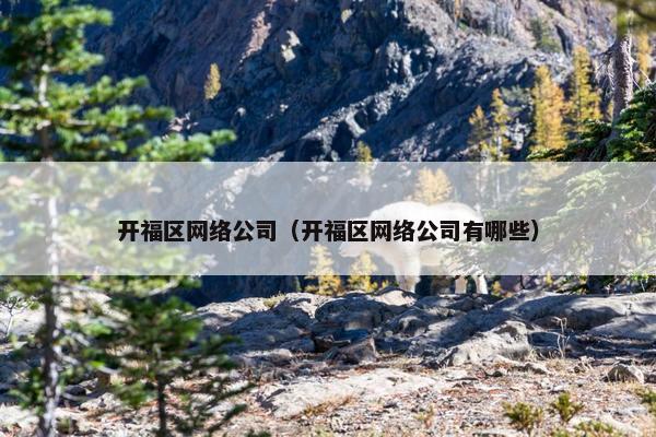开福区网络公司（开福区网络公司有哪些）