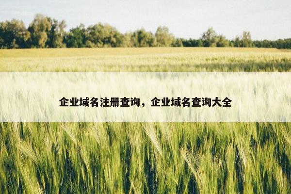 企业域名注册查询，企业域名查询大全