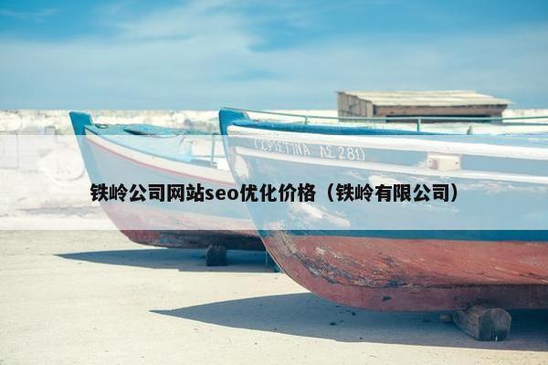 铁岭公司网站seo优化价格（铁岭有限公司）