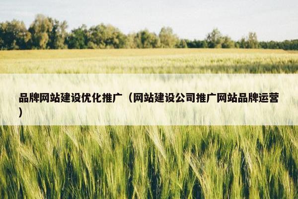 品牌网站建设优化推广（网站建设公司推广网站品牌运营）