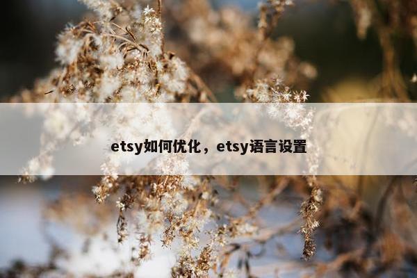 etsy如何优化，etsy语言设置