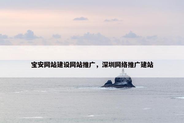 宝安网站建设网站推广，深圳网络推广建站