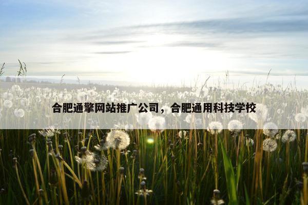 合肥通擎网站推广公司，合肥通用科技学校