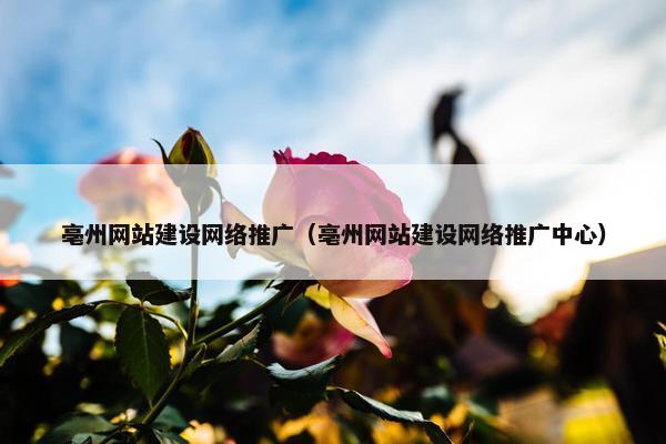 亳州网站建设网络推广（亳州网站建设网络推广中心）
