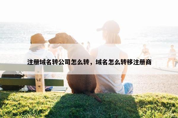 注册域名转公司怎么转，域名怎么转移注册商