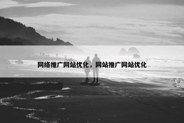 网络推广网站优化，网站推广网站优化