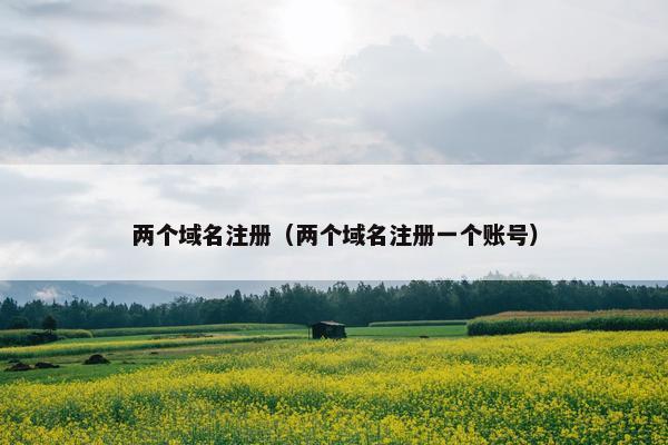 两个域名注册（两个域名注册一个账号）