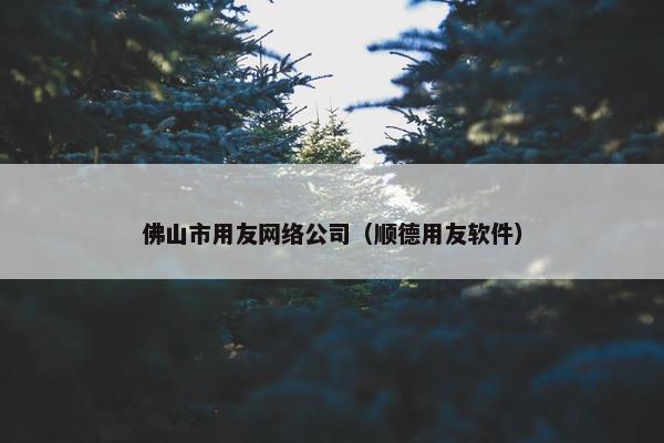 佛山市用友网络公司（顺德用友软件）