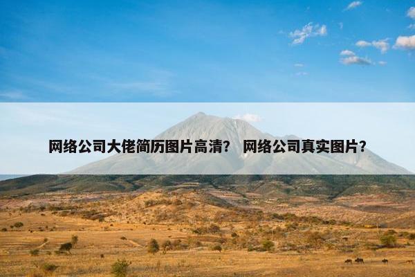网络公司大佬简历图片高清？ 网络公司真实图片？
