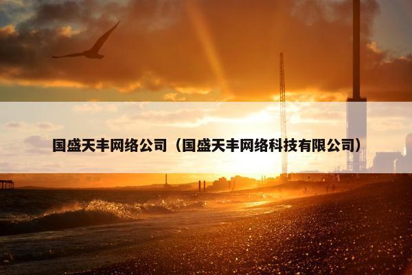 国盛天丰网络公司（国盛天丰网络科技有限公司）