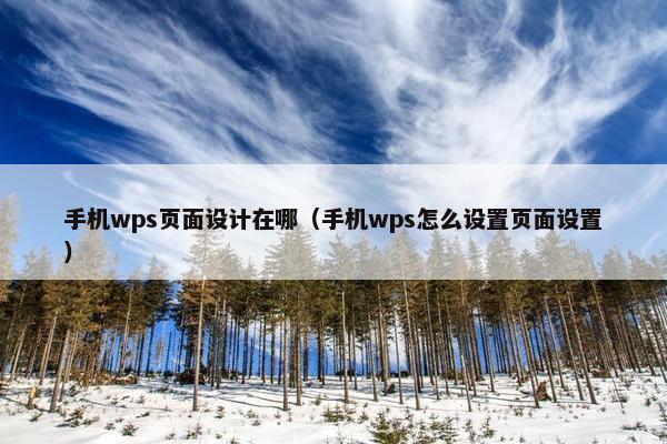 手机wps页面设计在哪（手机wps怎么设置页面设置）