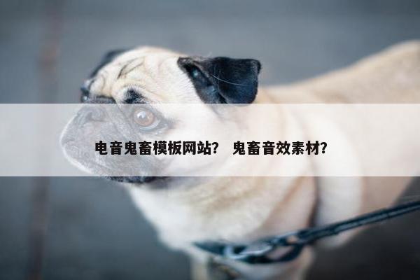 电音鬼畜模板网站？ 鬼畜音效素材？