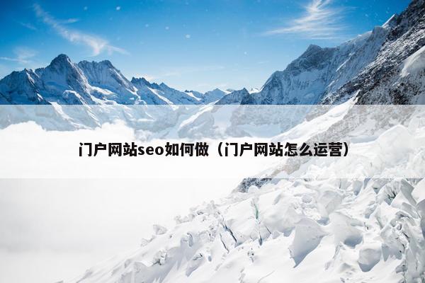 门户网站seo如何做（门户网站怎么运营）