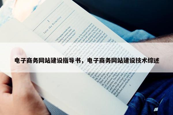 电子商务网站建设指导书，电子商务网站建设技术综述