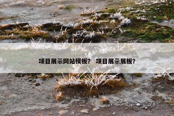项目展示网站模板？ 项目展示展板？