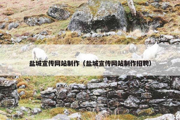 盐城宣传网站制作（盐城宣传网站制作招聘）