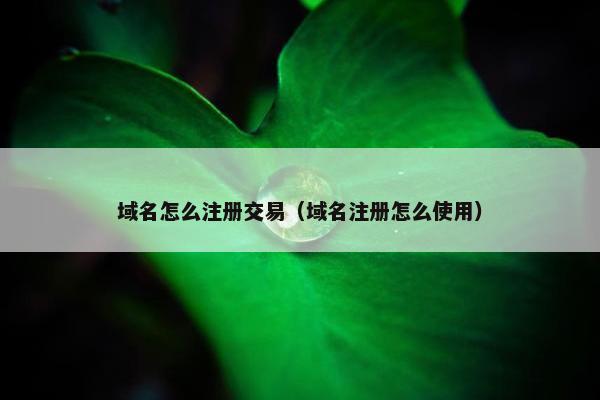 域名怎么注册交易（域名注册怎么使用）