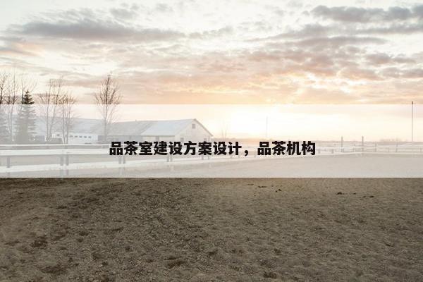 品茶室建设方案设计，品茶机构