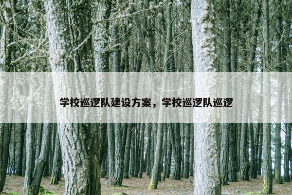 学校巡逻队建设方案，学校巡逻队巡逻