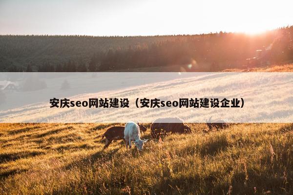 安庆seo网站建设（安庆seo网站建设企业）