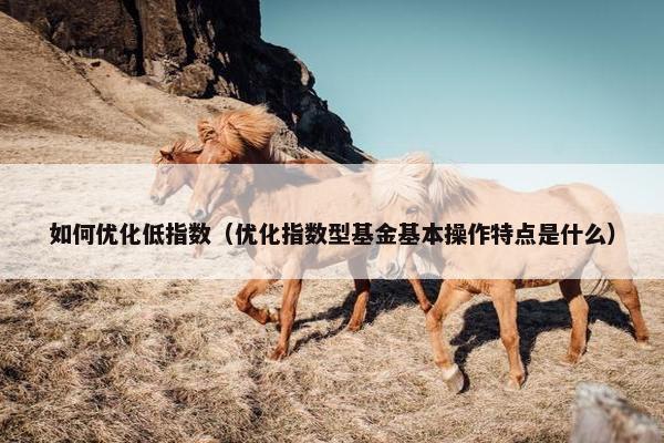 如何优化低指数（优化指数型基金基本操作特点是什么）