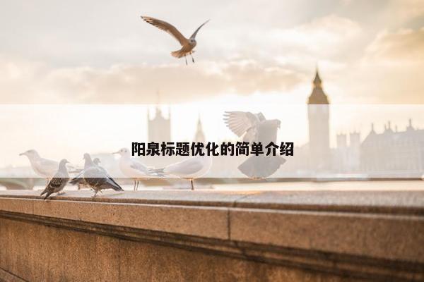 阳泉标题优化的简单介绍