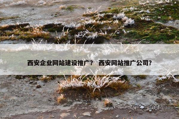 西安企业网站建设推广？ 西安网站推广公司？