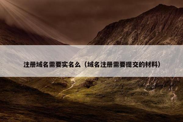 注册域名需要实名么（域名注册需要提交的材料）